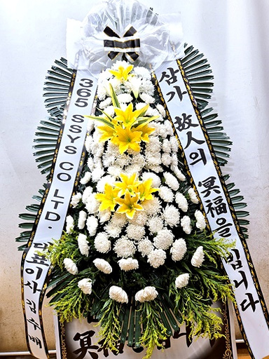 ST-FB154