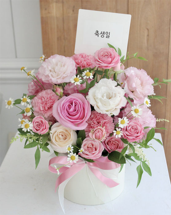 ST-B493