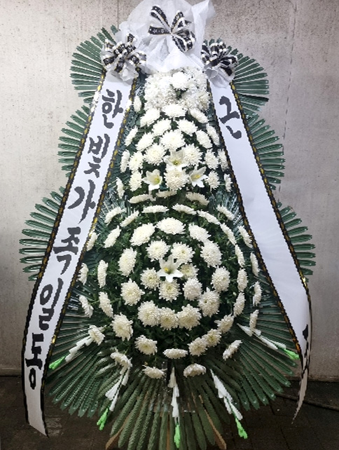 ST-FB226