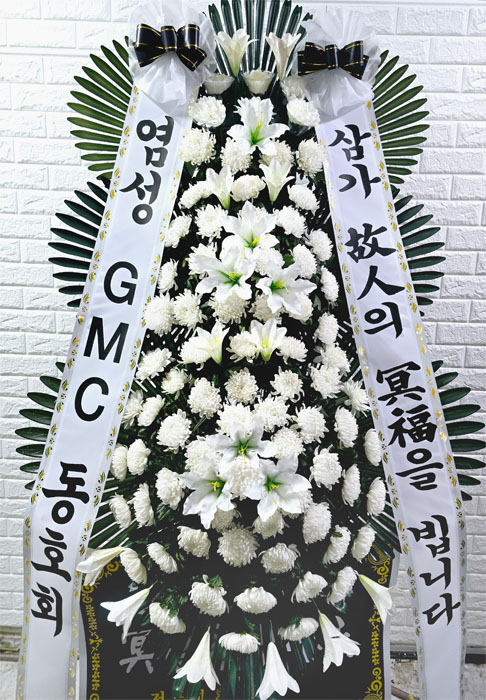 ST-FB233