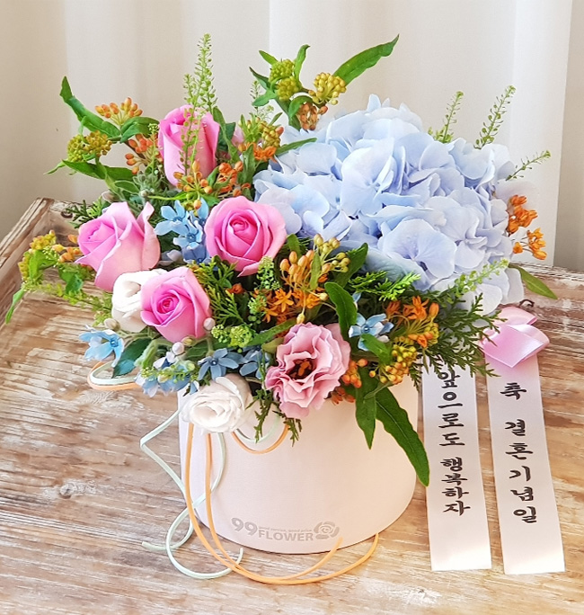 ST-C516