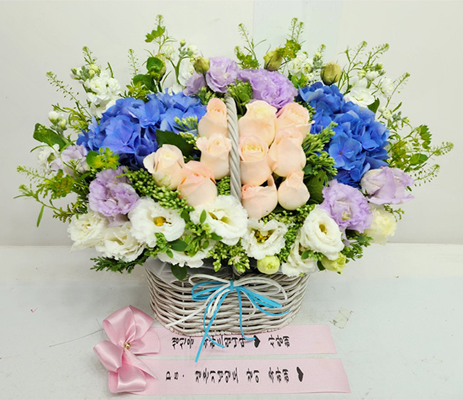 ST-A1661