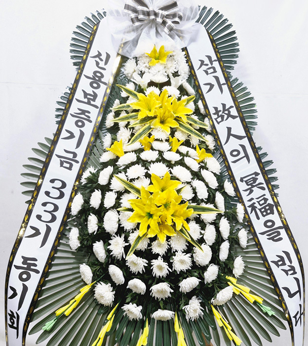 ST-FB154