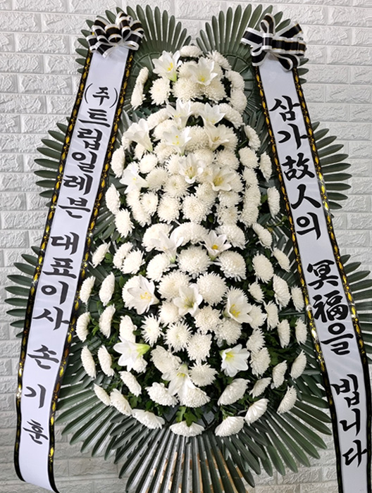 ST-FB226