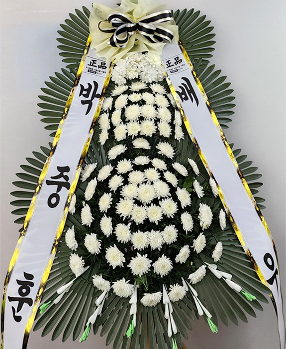ST-FB233
