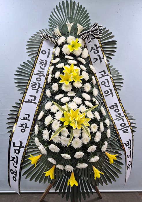 ST-FB233
