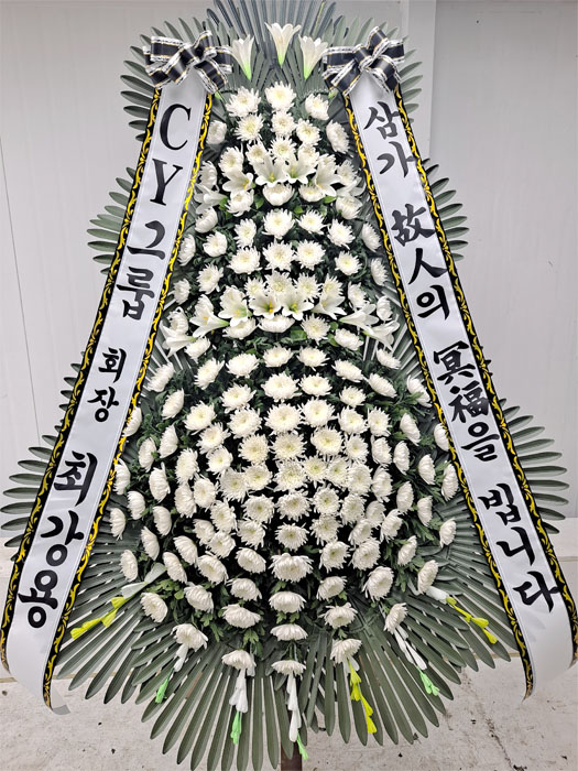 ST-FB233