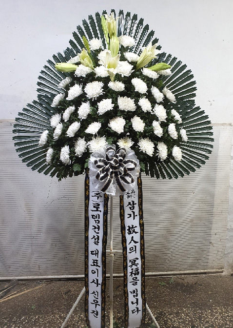 ST-FB261