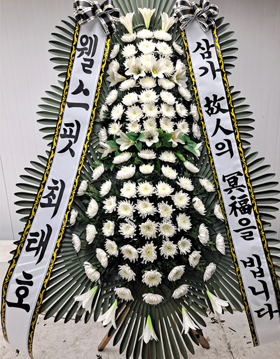 ST-FB226