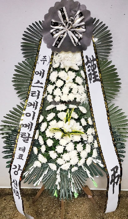 ST-FB226