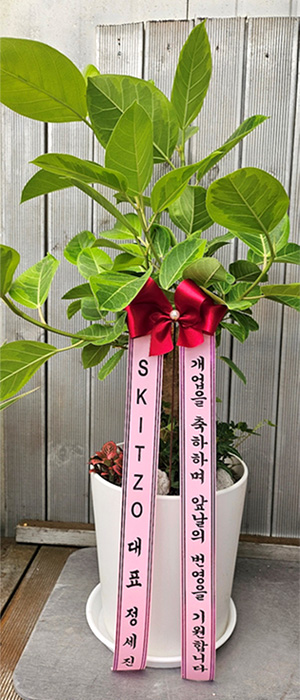 ST-D741