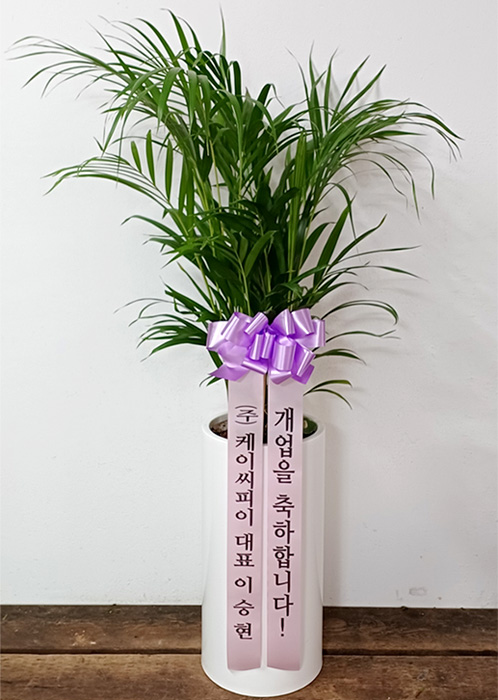 ST-D756