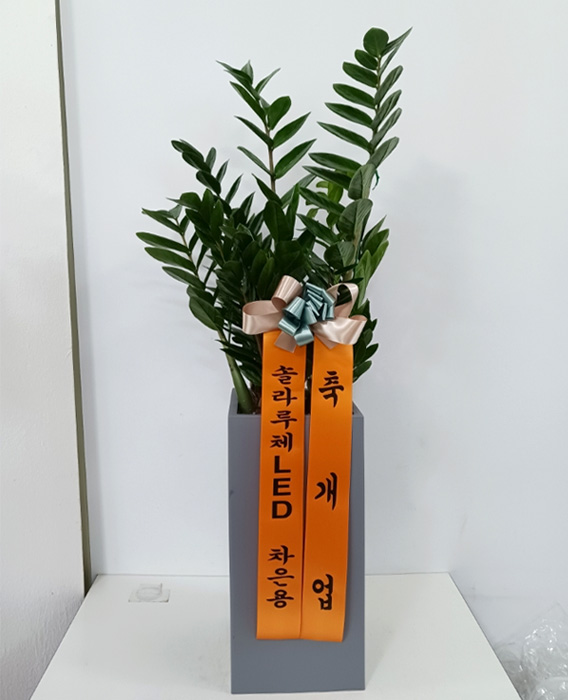 ST-D569