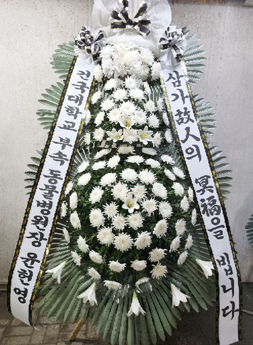 ST-FB226