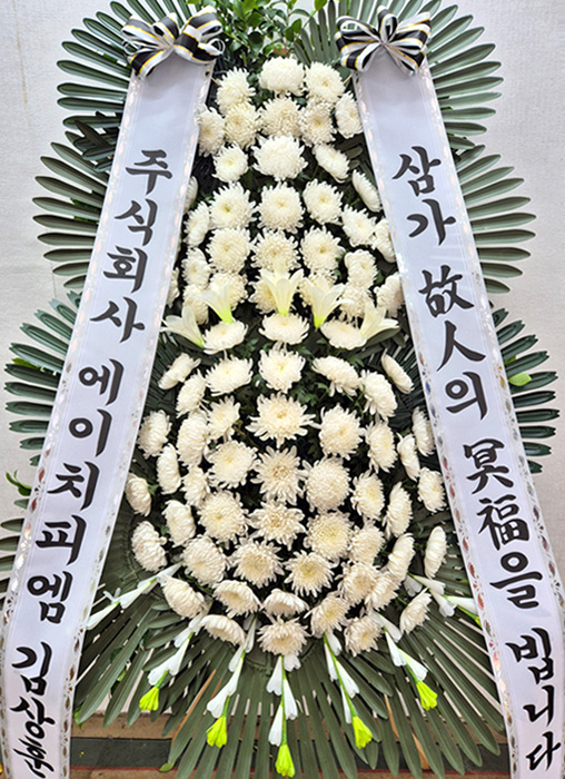 ST-FB233
