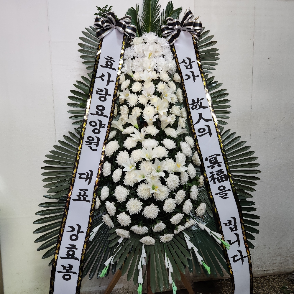 ST-FB226