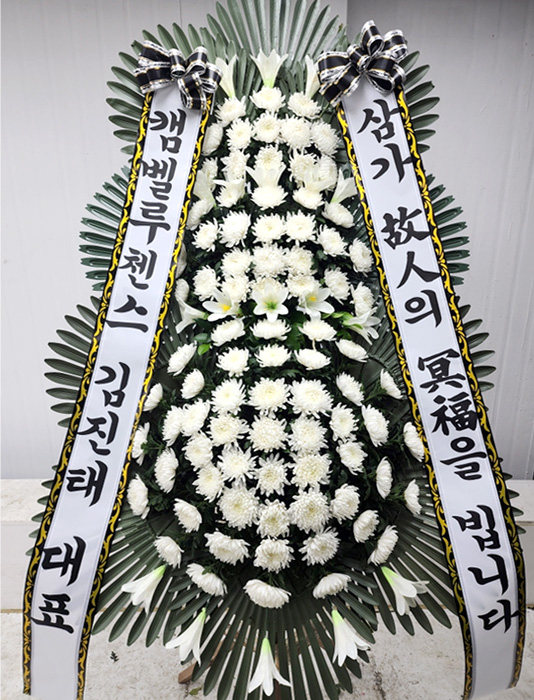 ST-FB162