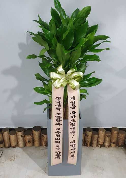 ST-D578