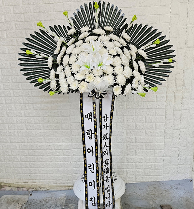 ST-FB260