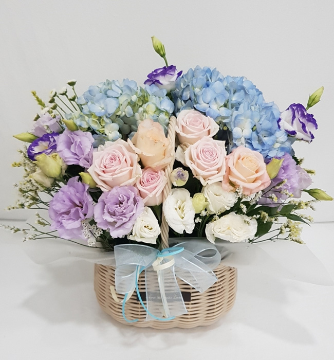 ST-A1661