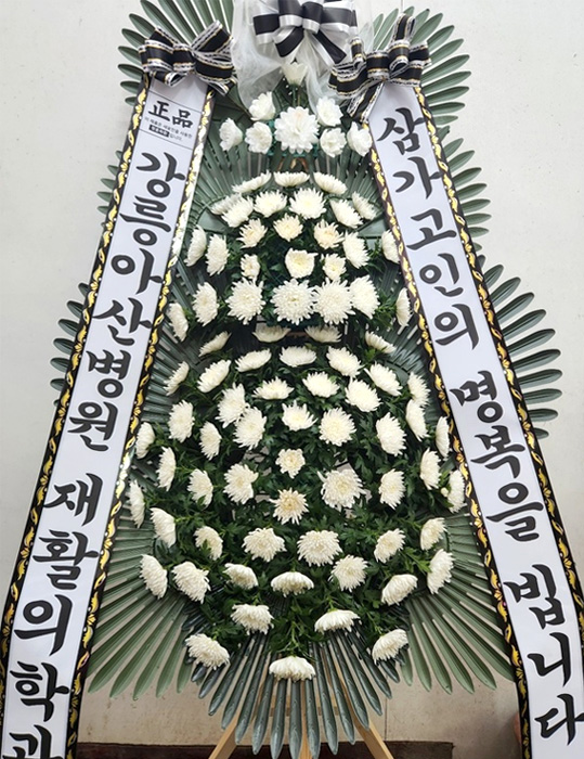ST-FB233