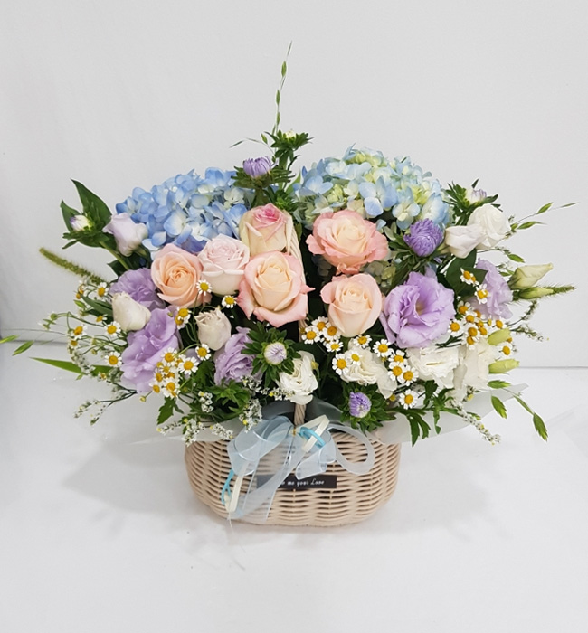 ST-A1661