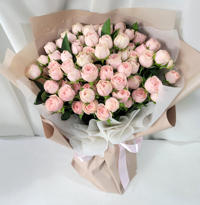 ST-C484