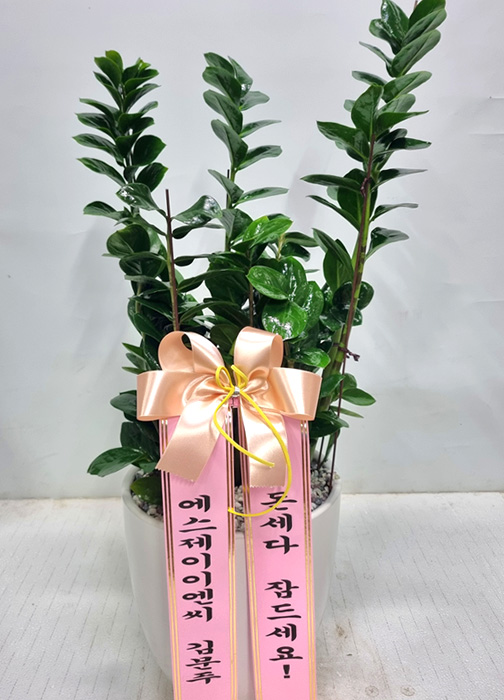 ST-D670