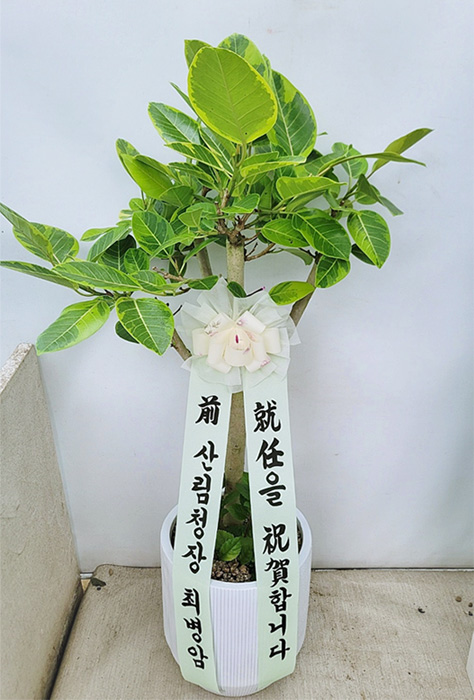 ST-D708