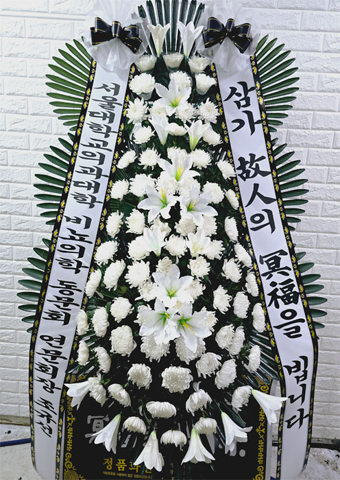ST-FB233