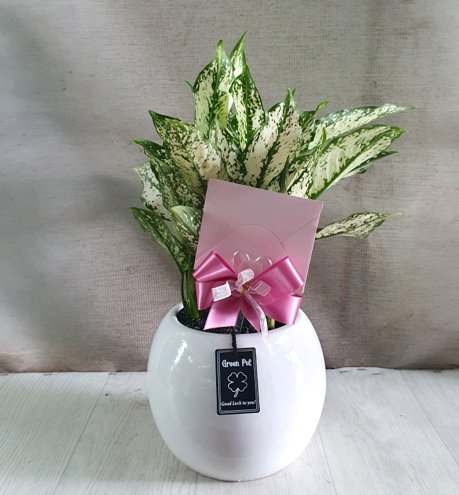ST-D723