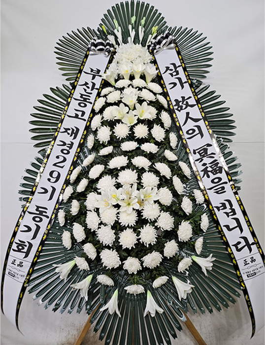 ST-FB226
