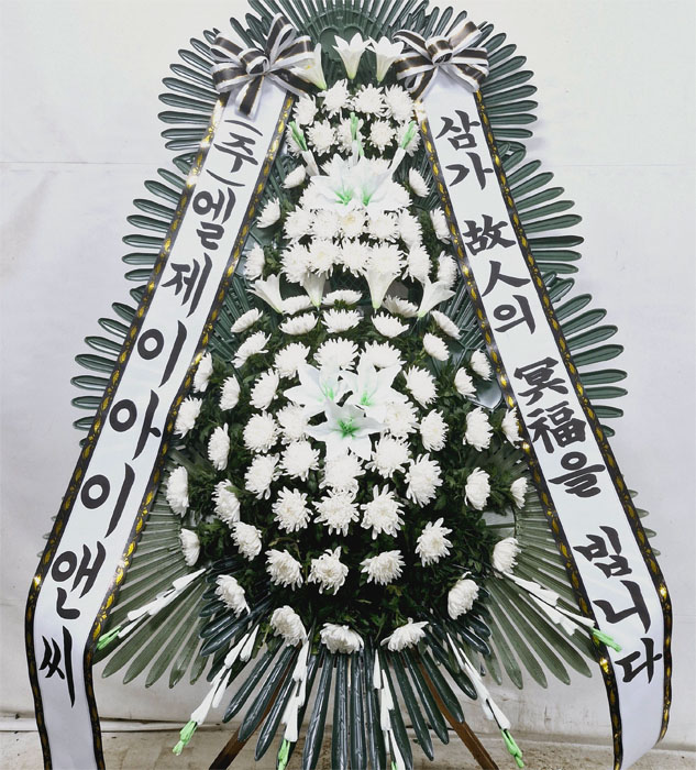ST-FB233