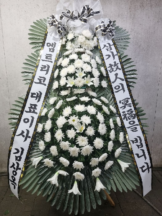 ST-FB226