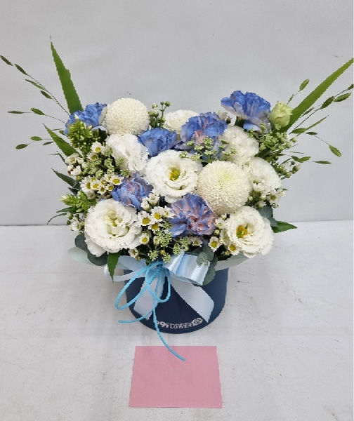 ST-B509
