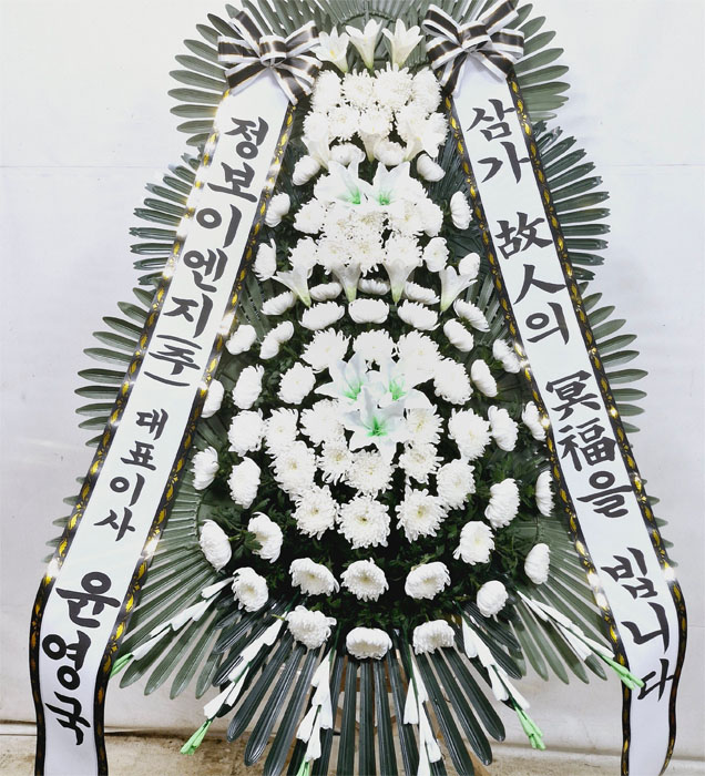 ST-FB233