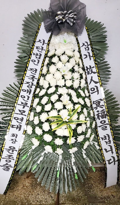 ST-FB233