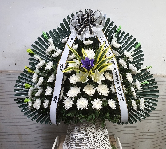 ST-FB255