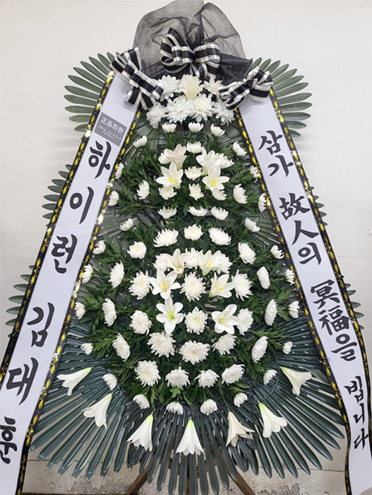 ST-FB233