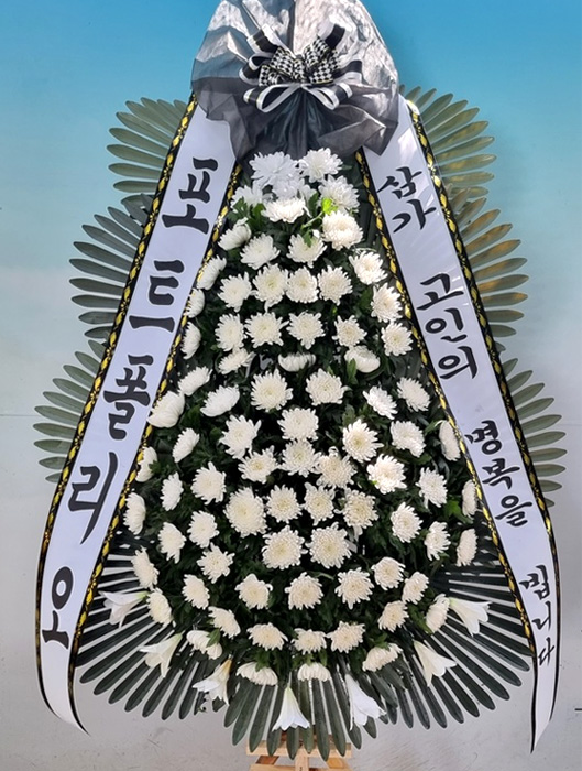 ST-FB233