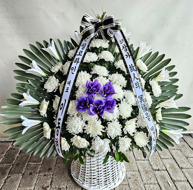 ST-FB255