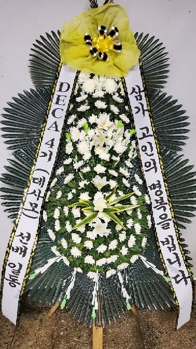 ST-FB233