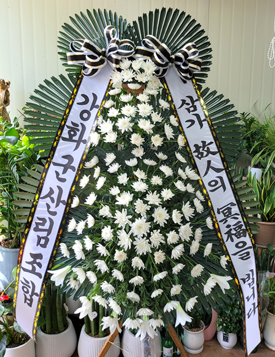 ST-FB226