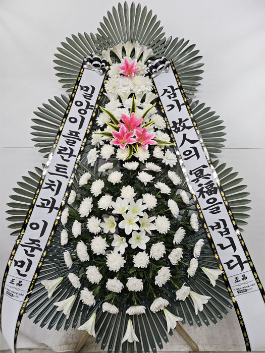 ST-FB141
