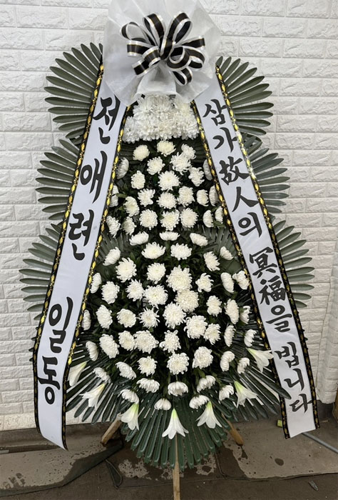 ST-FB162