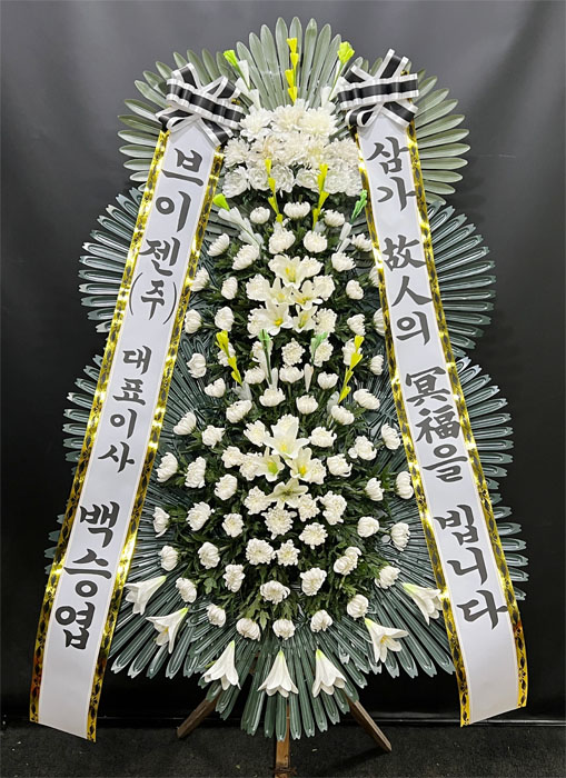 ST-FB233