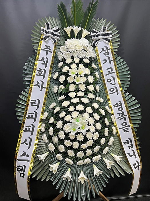 ST-FB226