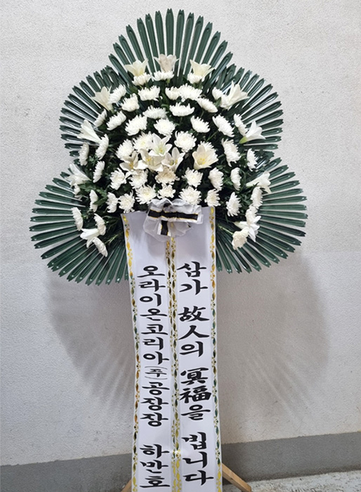 ST-FB260