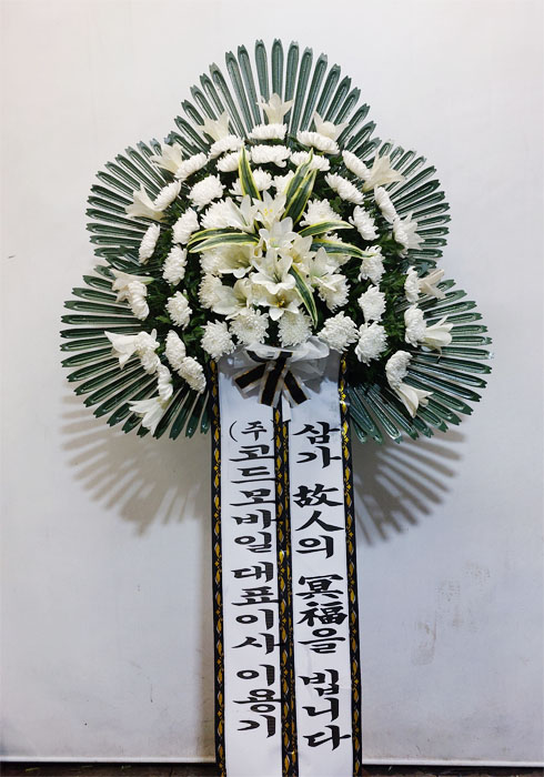 ST-FB261