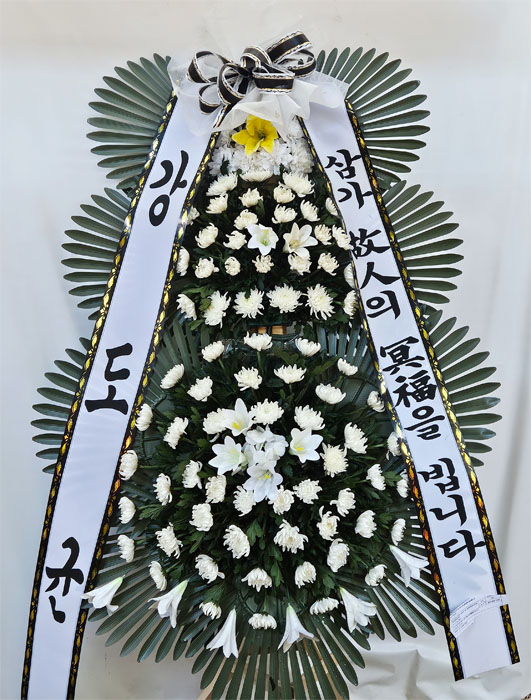 ST-FB233